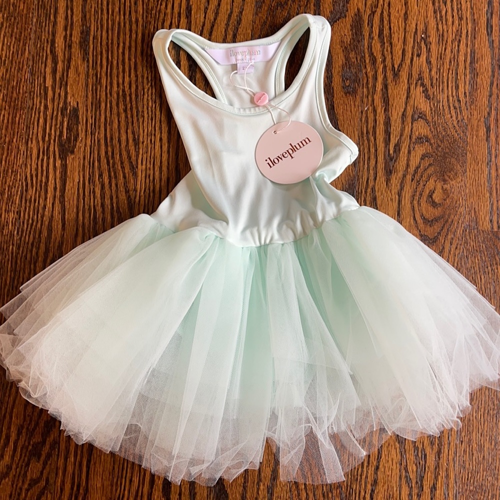I love Plum Tutu 2T teal/sea foam